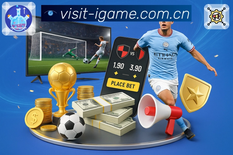 爱游戏回访服务